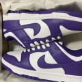 dunk1-large