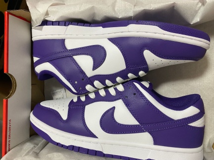 dunk1-large